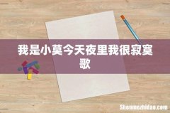 我是小莫今天夜里我很寂寞歌