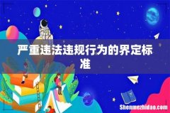 严重违法违规行为的界定标准