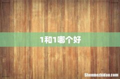 1和1哪个好