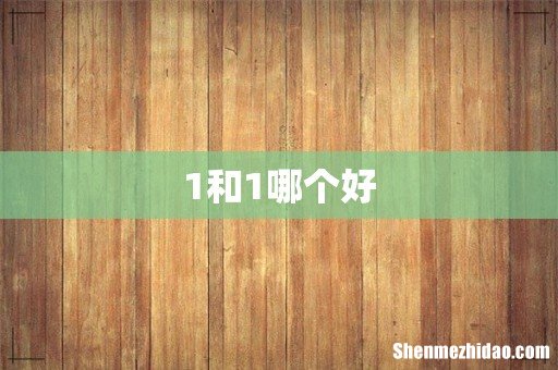 1和1哪个好