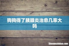 狗狗得了胰腺炎治愈几率大吗