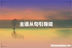 主语从句引导词
