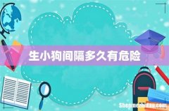 生小狗间隔多久有危险