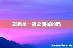 斑秃是一夜之间掉的吗