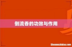 倒流香的功效与作用