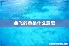 会飞的鱼是什么意思