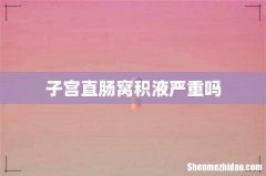子宫直肠窝积液严重吗