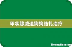 甲状腺减退狗狗结扎治疗