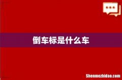 倒车标是什么车