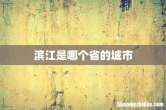 滨江是哪个省的城市