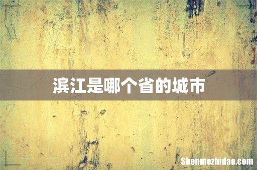 滨江是哪个省的城市