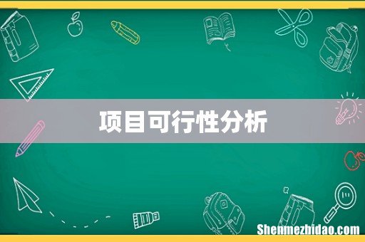 项目可行性分析