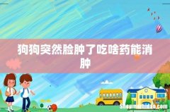 狗狗突然脸肿了吃啥药能消肿