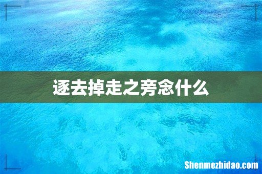 逐去掉走之旁念什么