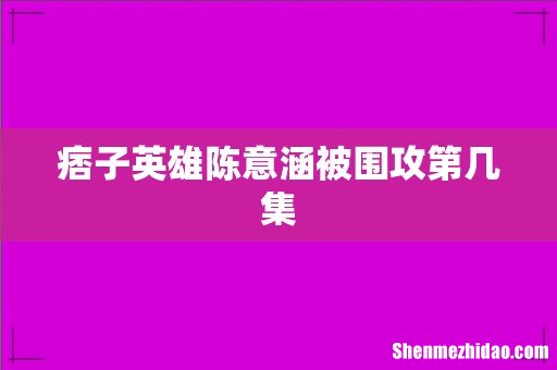痞子英雄陈意涵被围攻第几集