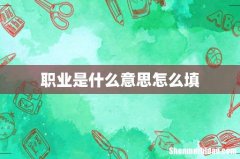 职业是什么意思怎么填
