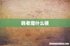 韩老魔什么梗