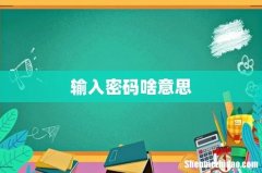 输入密码啥意思