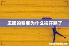 王牌的费费为什么被开除了