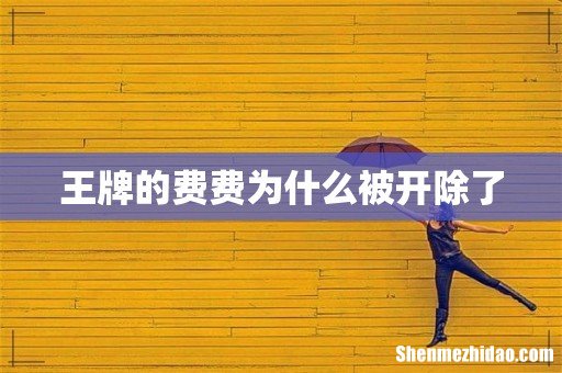 王牌的费费为什么被开除了