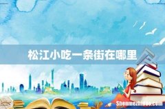松江小吃一条街在哪里