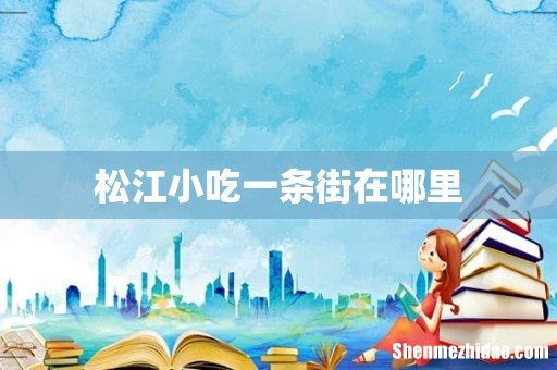 松江小吃一条街在哪里
