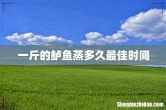 一斤的鲈鱼蒸多久最佳时间