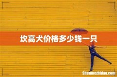 坎高犬价格多少钱一只