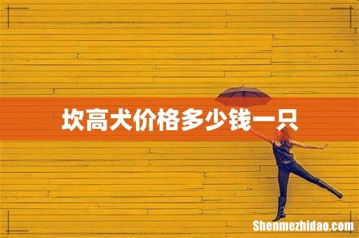 坎高犬价格多少钱一只