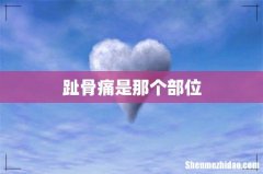 趾骨痛是那个部位