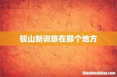 砚山新训旅在那个地方