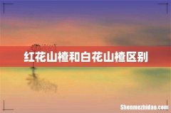 红花山楂和白花山楂区别