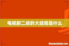 电视剧二叔的大结局是什么