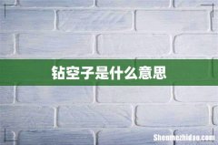 钻空子是什么意思