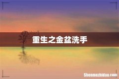 重生之金盆洗手