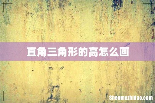 直角三角形的高怎么画