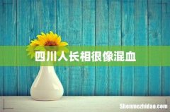 四川人长相很像混血