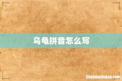 乌龟拼音怎么写