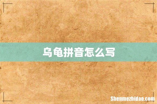 乌龟拼音怎么写