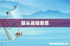 额头高啥意思
