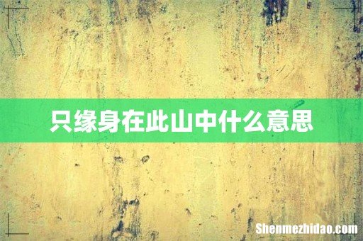 只缘身在此山中什么意思
