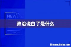 政治说白了是什么