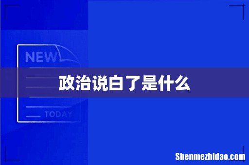 政治说白了是什么