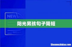 阳光男孩句子简短