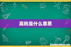 高挑是什么意思
