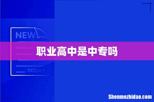 职业高中是中专吗
