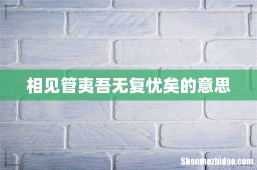 相见管夷吾无复忧矣的意思