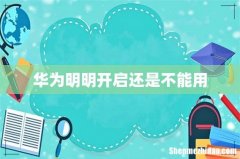华为明明开启还是不能用