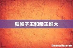 铁帽子王和亲王谁大