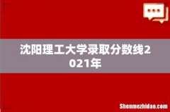 沈阳理工大学录取分数线2021年